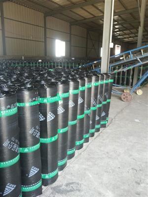內(nèi)蒙古防水工程